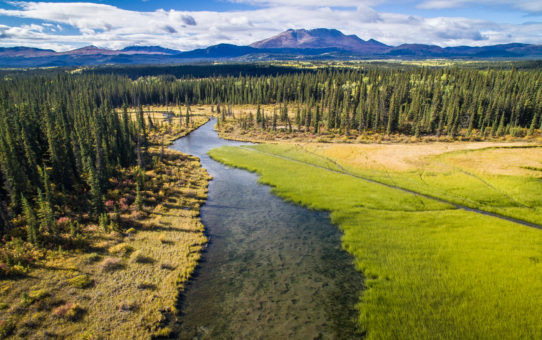 Fall in the Yukon