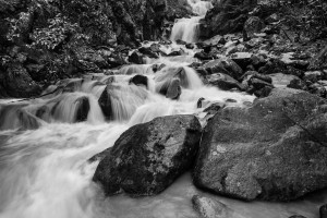 DSC_4655